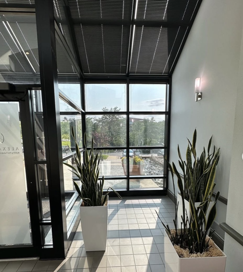 Commercial window tinting